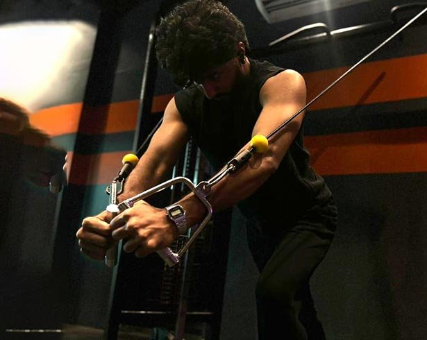 Massive Space Elite
Standards